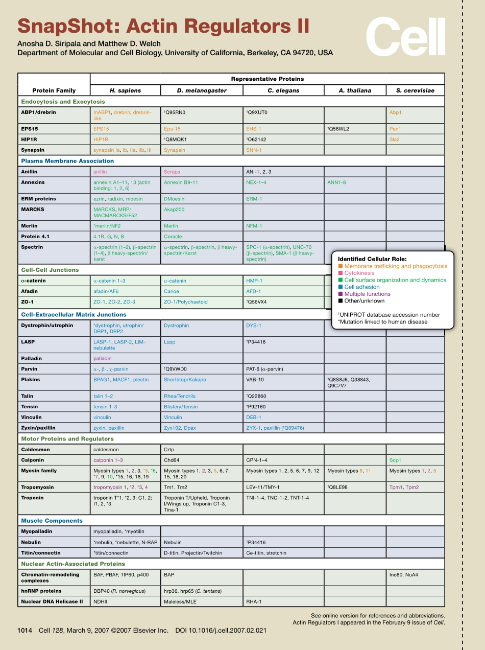 Actin Regulators II.PDF_第1页