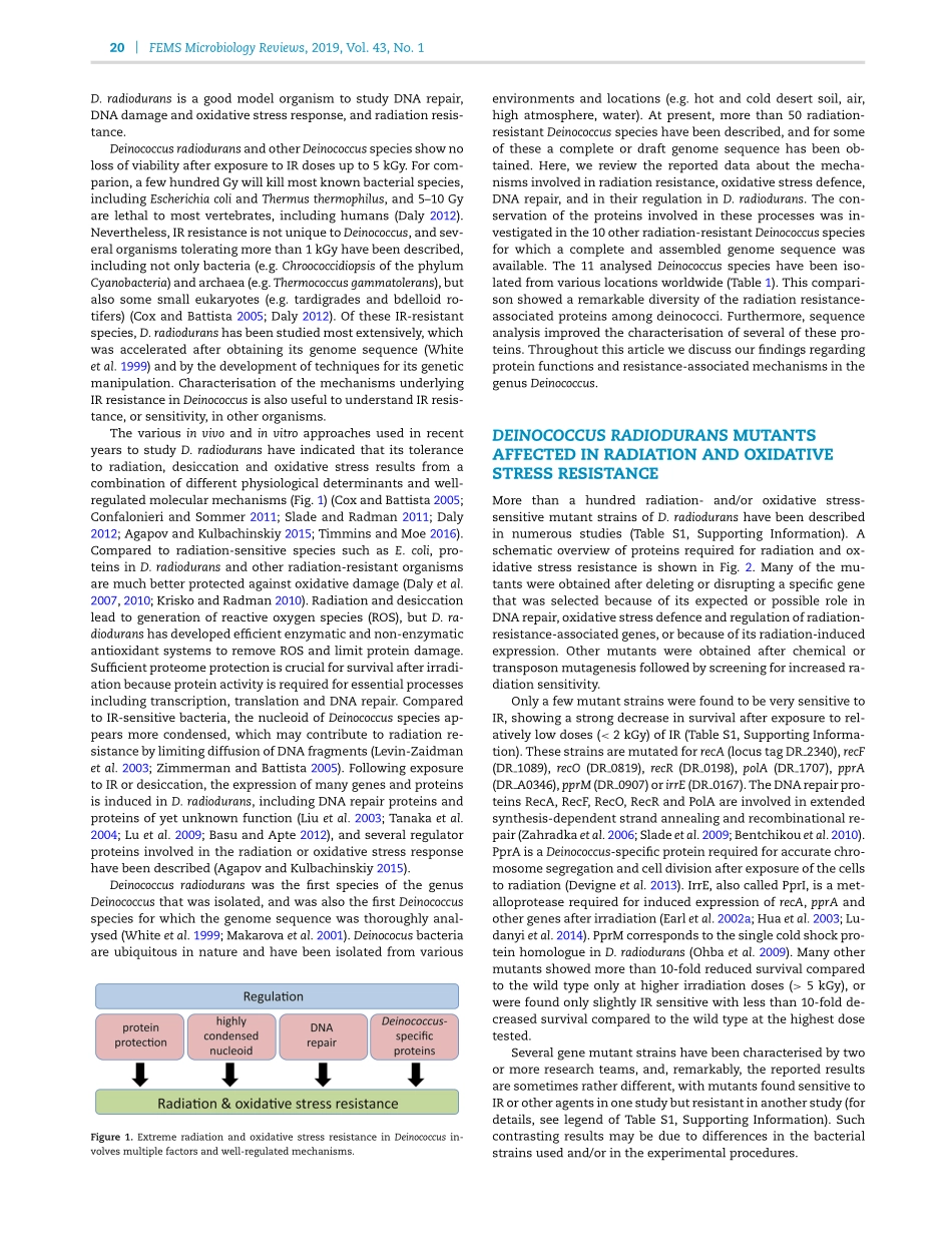 Conservation and diversity of radiation and ox.pdf_第2页