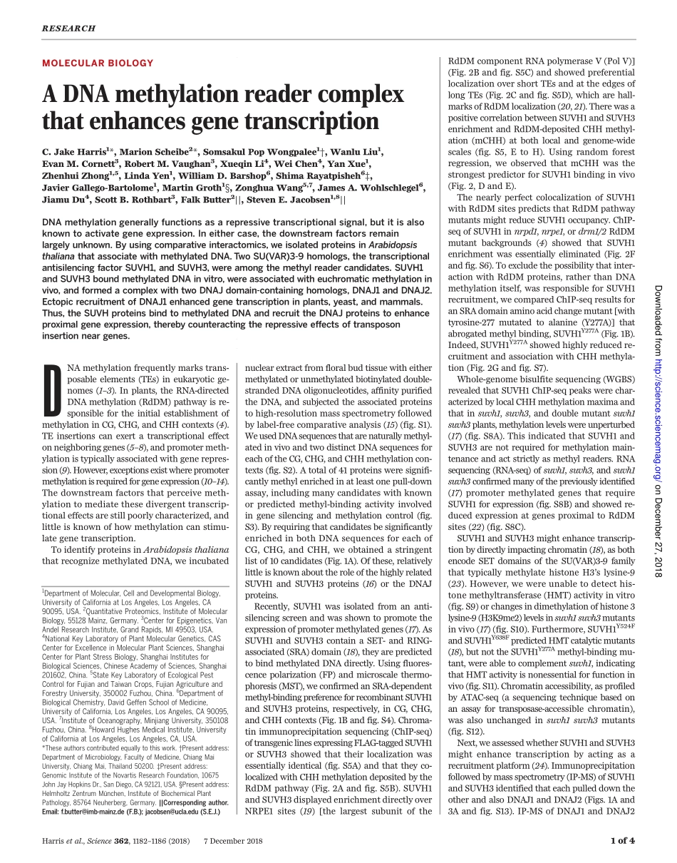 2018-DNA甲基化阅读器复合物可增强基因转录.pdf_第1页
