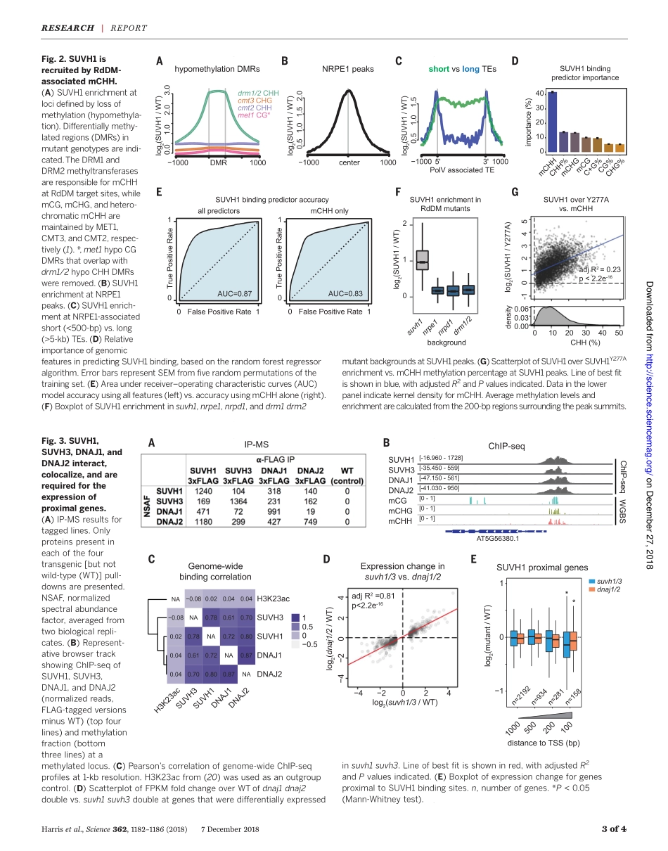 2018-DNA甲基化阅读器复合物可增强基因转录.pdf_第3页