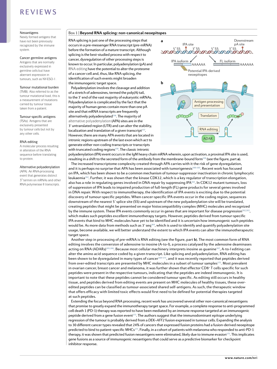 Alternative mRNA splicing in cancer immunother.pdf_第2页