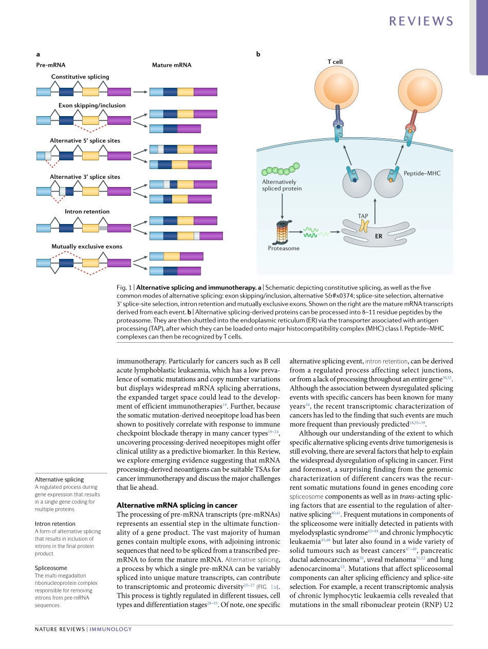 Alternative mRNA splicing in cancer immunother.pdf_第3页