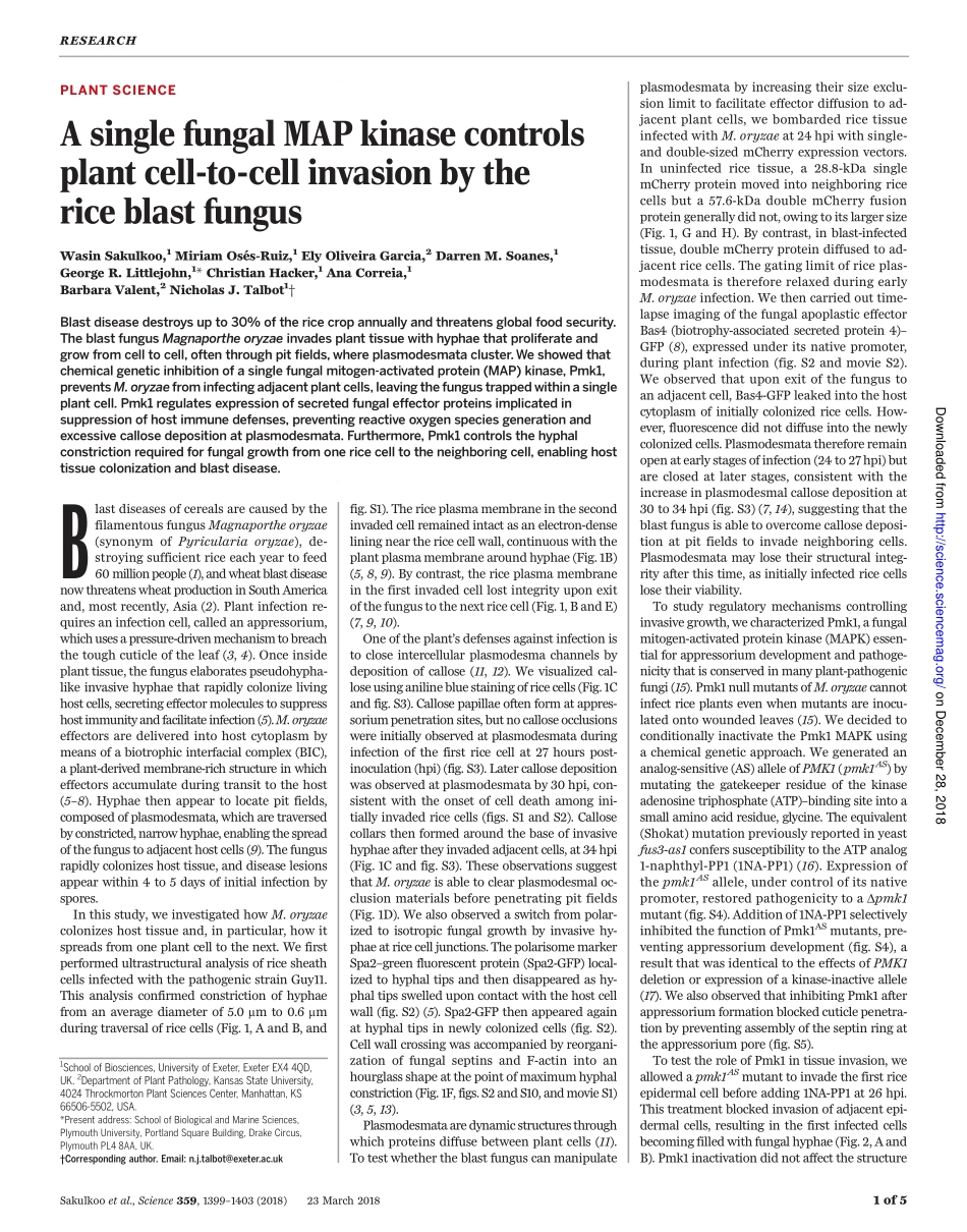 2018-Sakulkoo-A single fungal MAP kinase contr.pdf_第1页