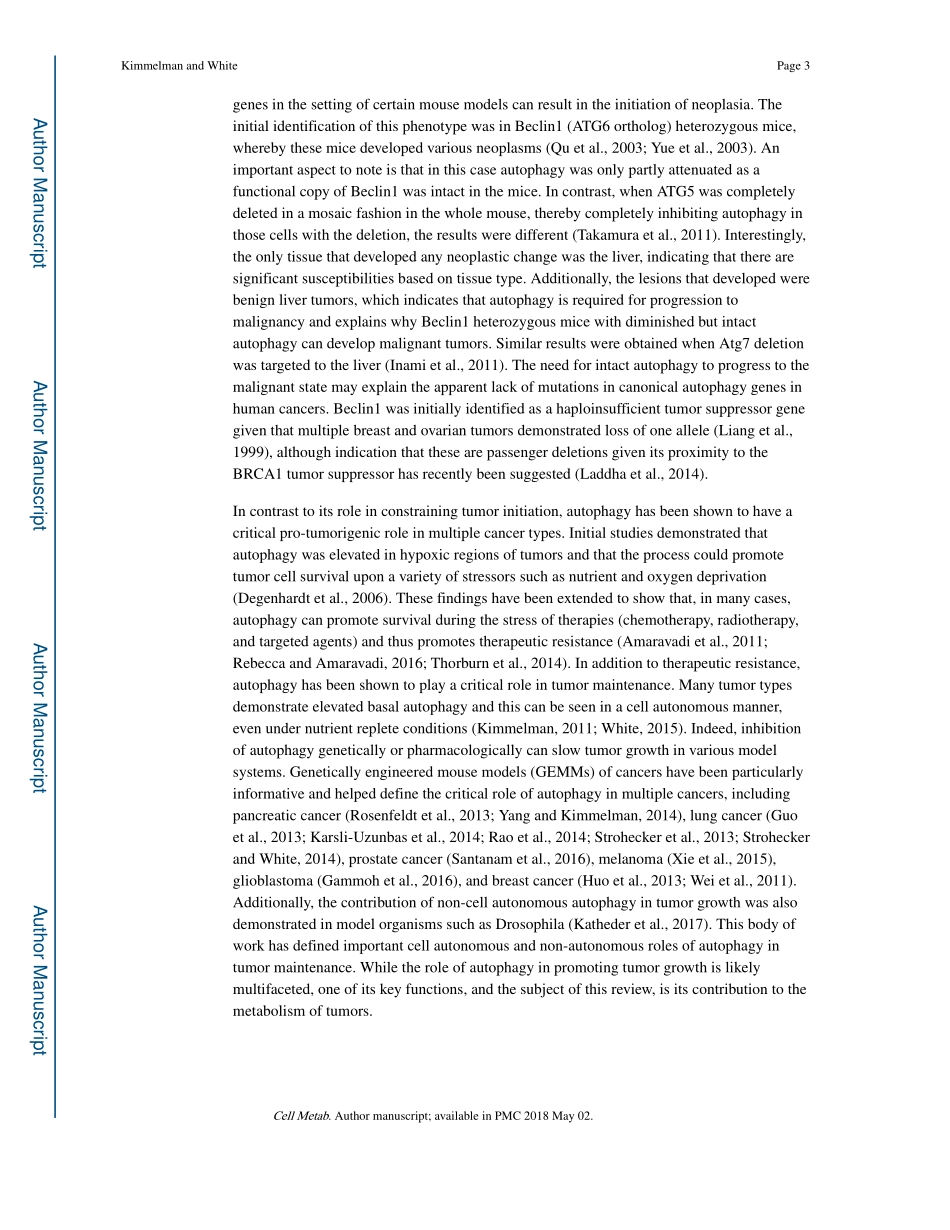 Autophagy and Tumor Metabolism.pdf_第3页