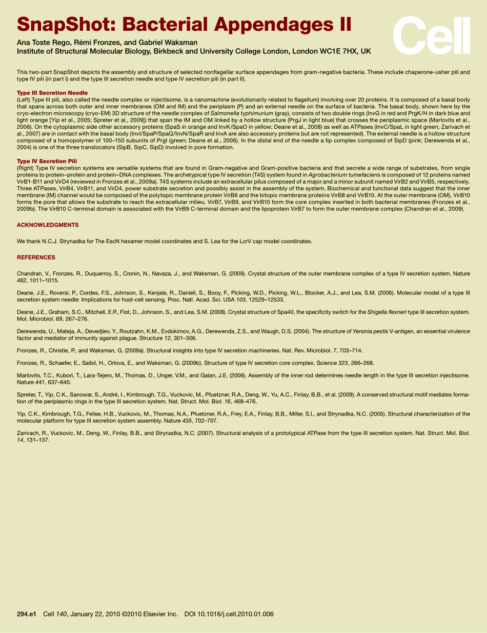 Bacterial Appendages II.PDF_第2页