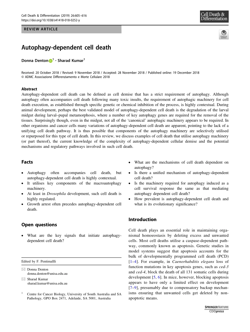 Autophagy-dependent cell death.pdf_第1页