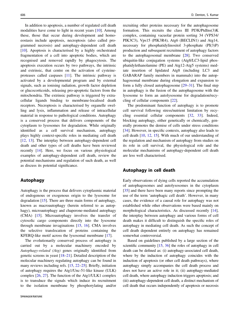 Autophagy-dependent cell death.pdf_第2页