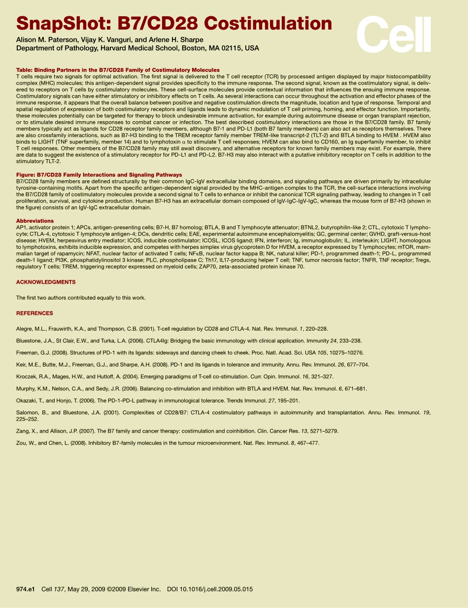 B7-CD28 Costimulation.PDF_第2页