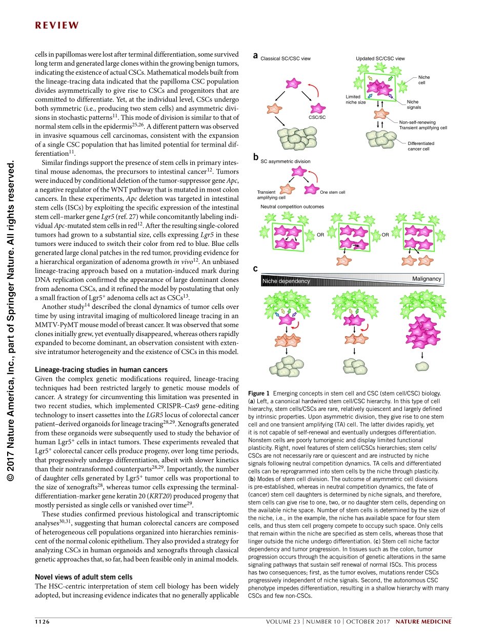 Batlle-2017-Cancer stem cells revisited.pdf_第3页