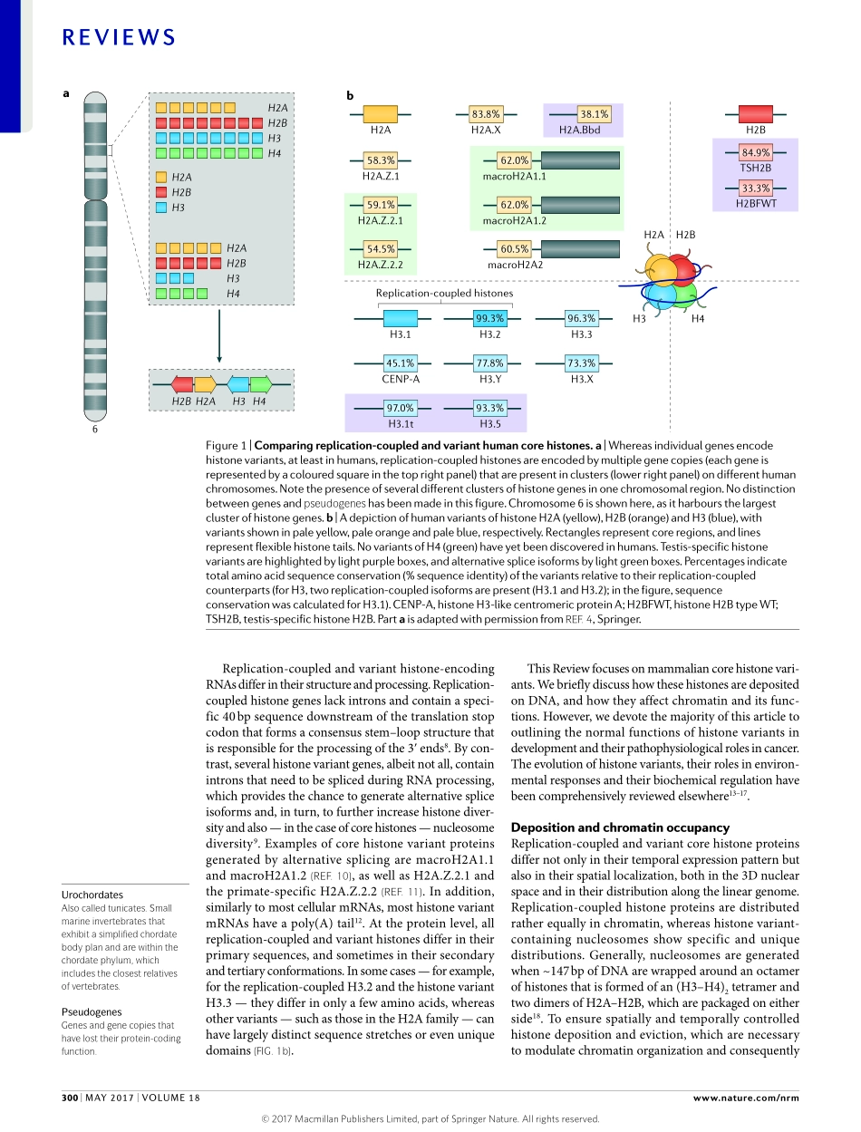 Buschbeck-2017-Variants of core histones and t.pdf_第2页