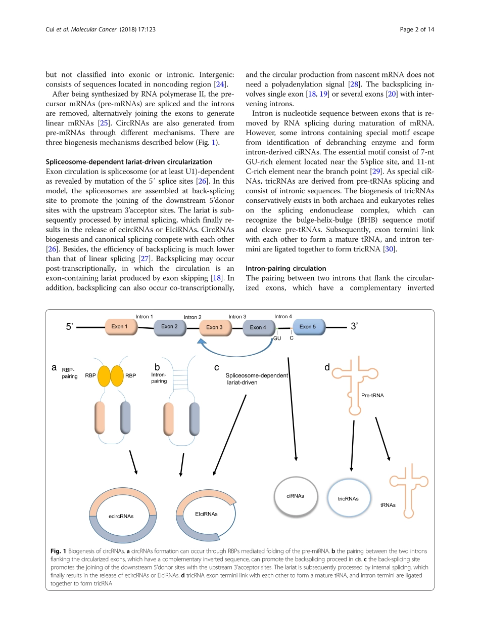 Emerging function and potential diagnostic val.pdf_第2页