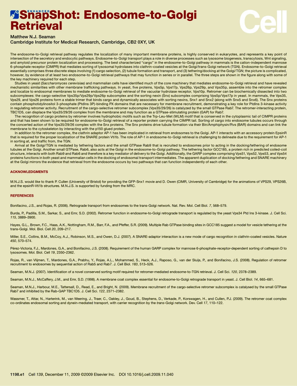 Endosome-to-Golgi Retrieval.PDF_第2页