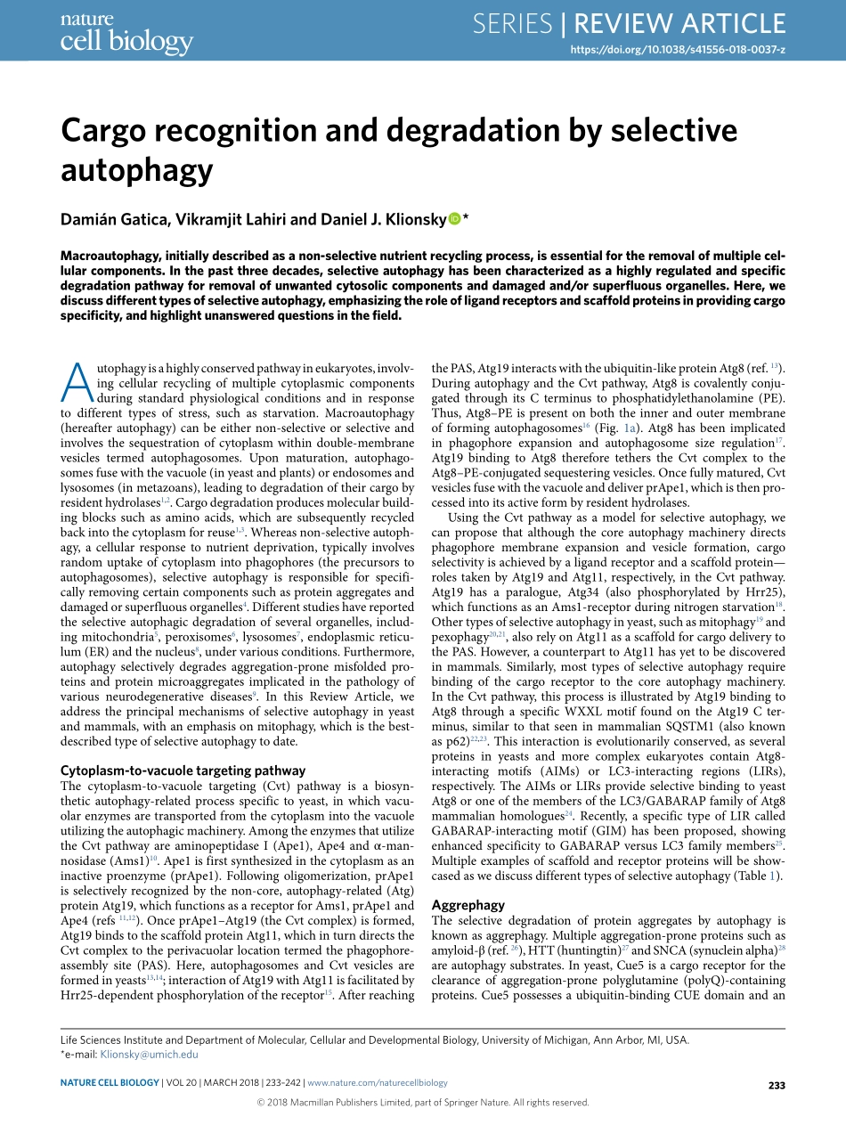 Cargo recognition and degradation by selective autophagy.pdf_第1页