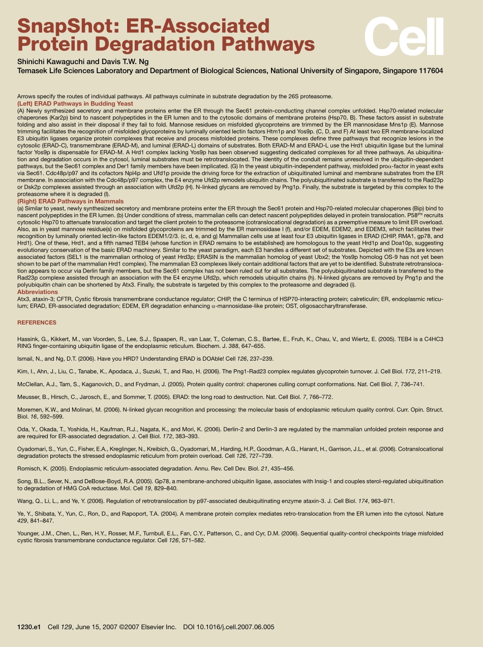 ER-Associated Protein Degradation Pathways.PDF_第2页