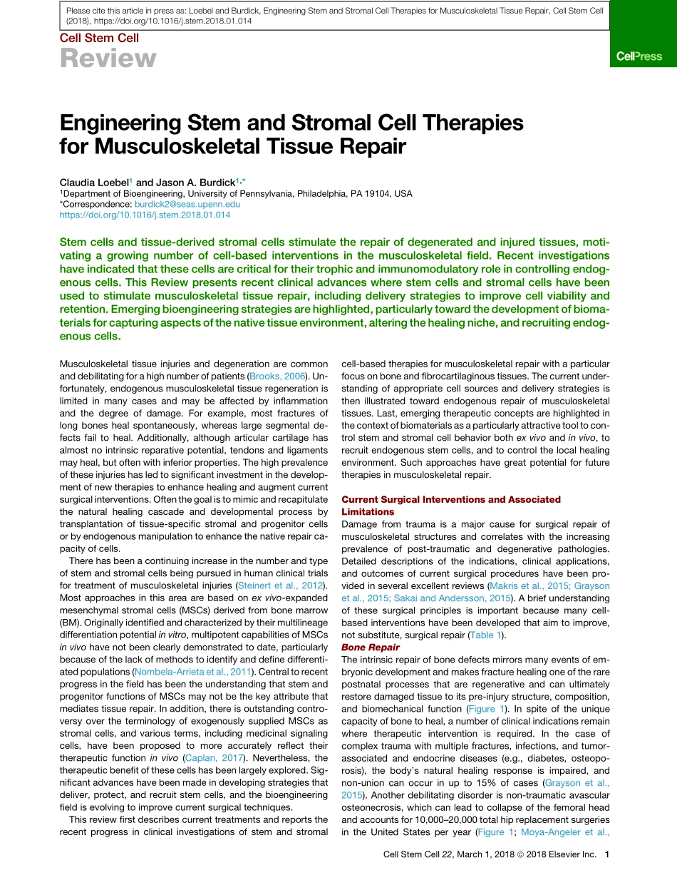 Engineering Stem and Stromal Cell Therapies fo.pdf_第1页