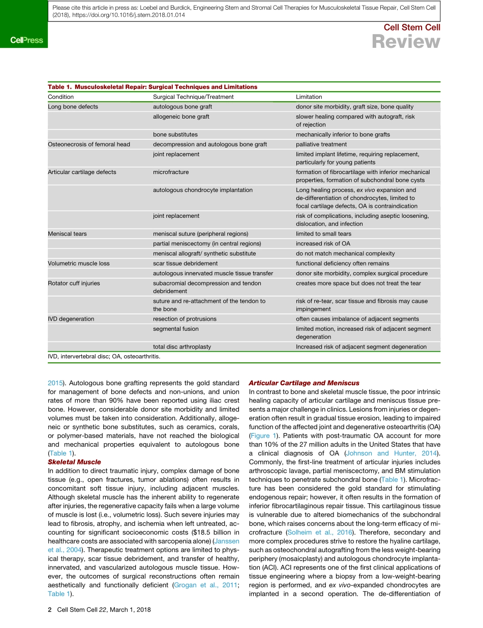 Engineering Stem and Stromal Cell Therapies fo.pdf_第2页