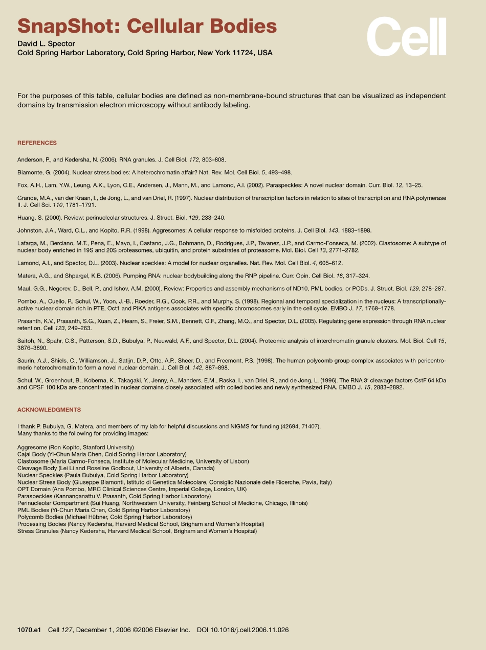 Cellular Bodies.PDF_第2页