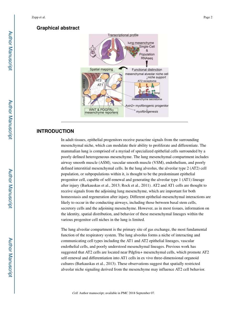 Cell. 2017 不同的间充质谱系和小生境促进肺上皮的自我更新和肌成纤维.pdf_第2页