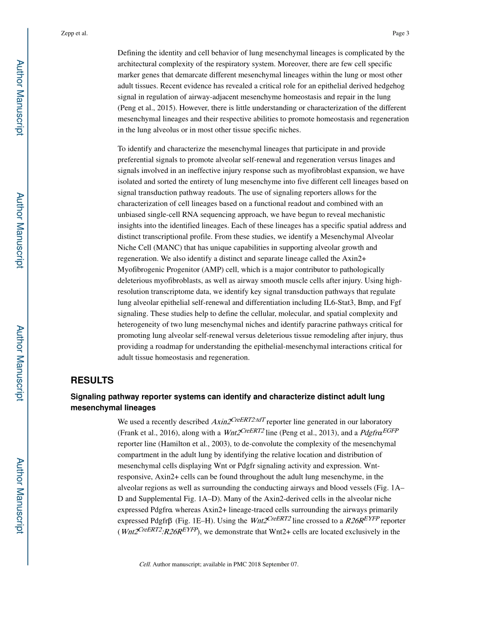 Cell. 2017 不同的间充质谱系和小生境促进肺上皮的自我更新和肌成纤维.pdf_第3页