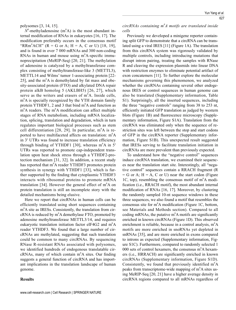 Cell Res. 2017 N6-甲基腺苷驱动circRNA广泛翻译.pdf_第2页