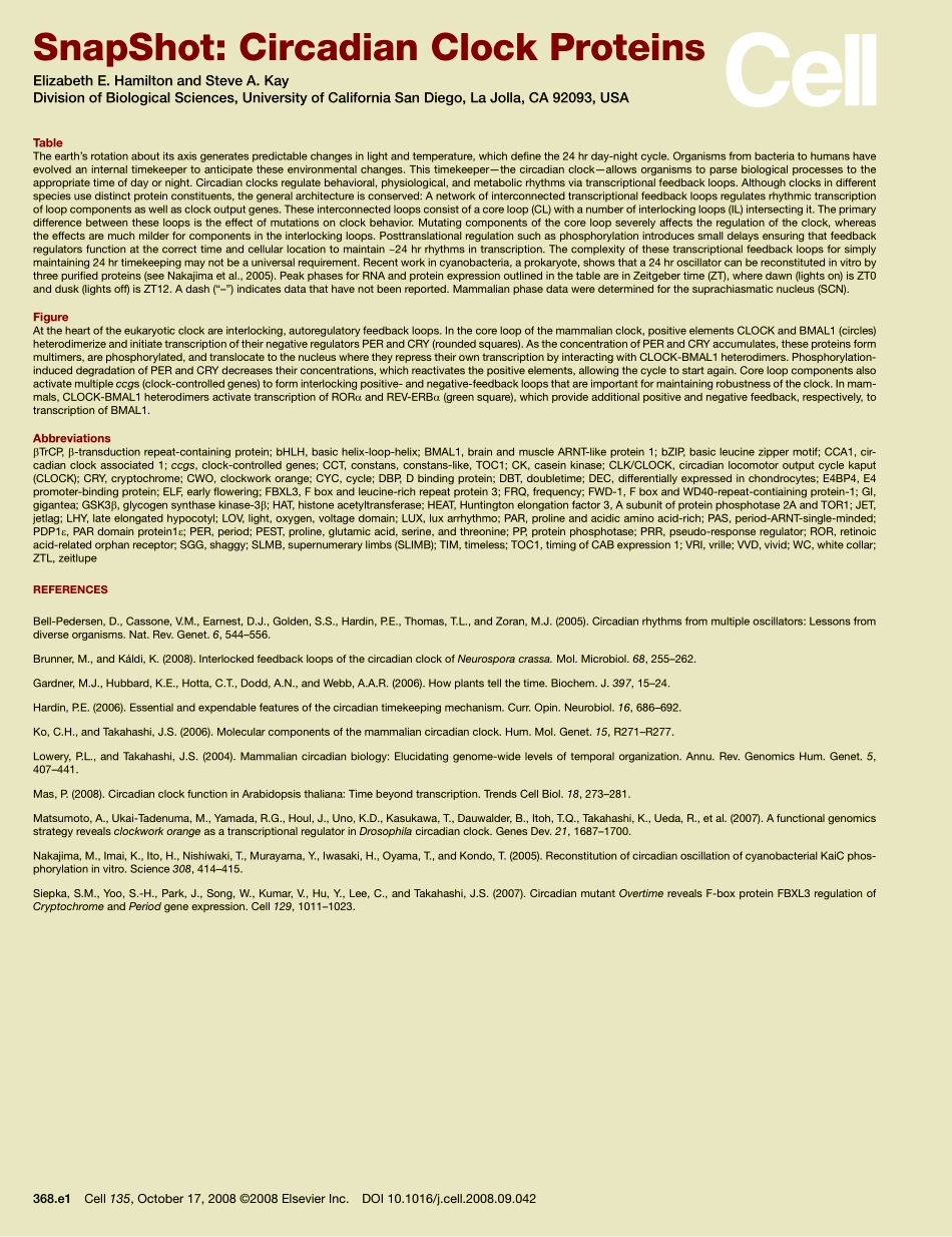 Circadian Clock Proteins.pdf_第2页