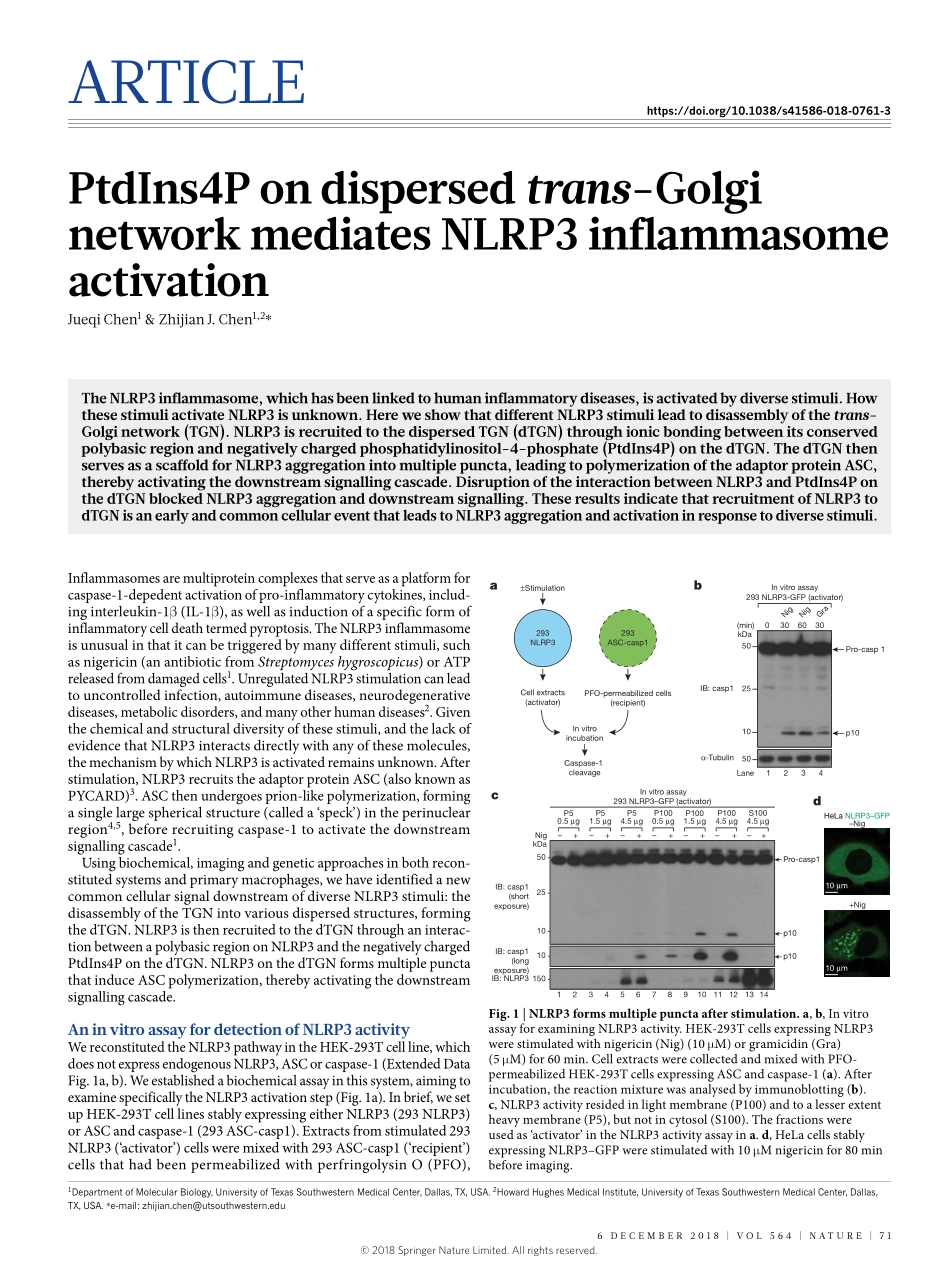 Chen-2018-分散的反式高尔基体网络上的PtdIns4P介导NLRP3炎性体激活.pdf_第1页