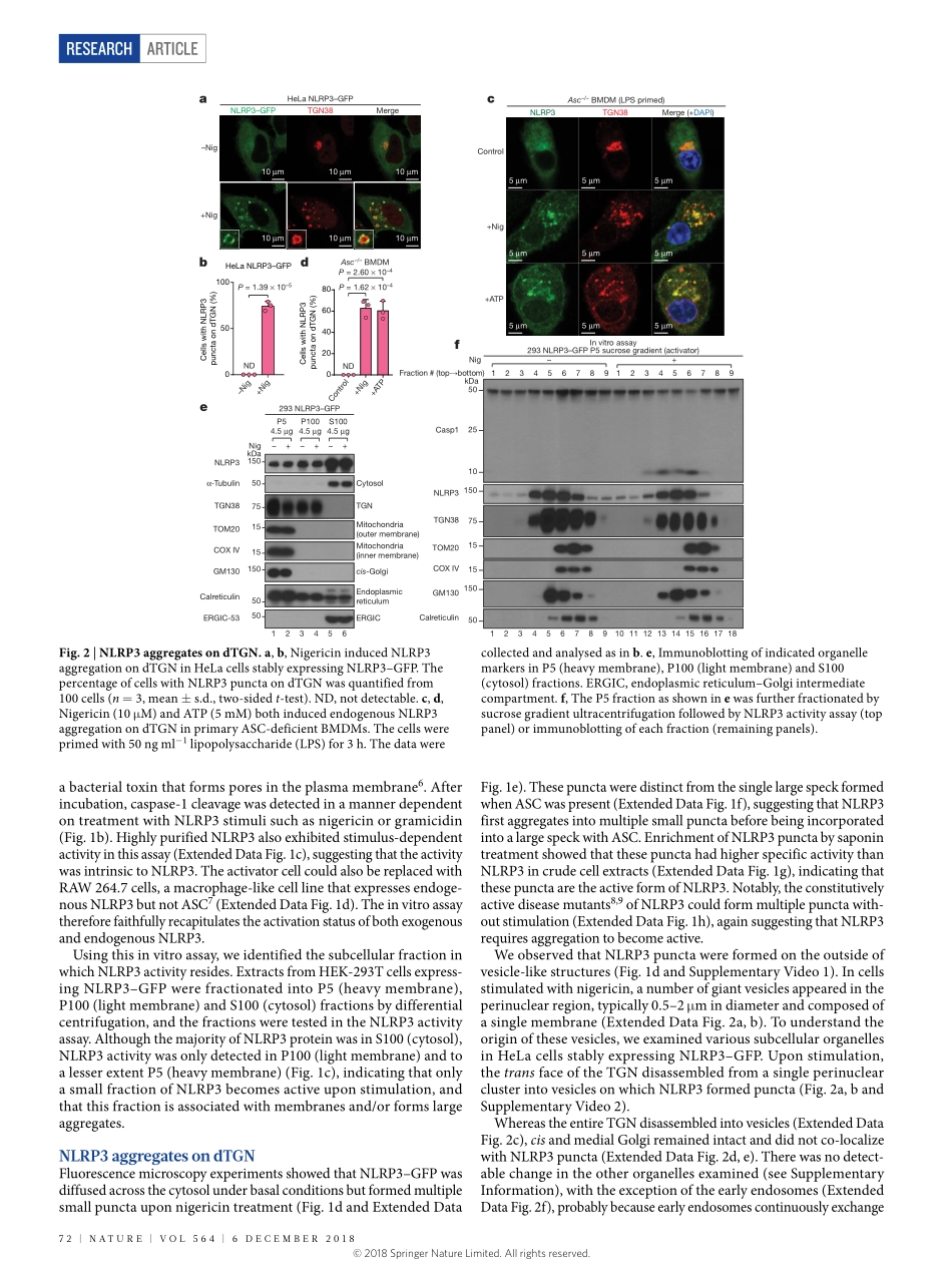 Chen-2018-分散的反式高尔基体网络上的PtdIns4P介导NLRP3炎性体激活.pdf_第2页