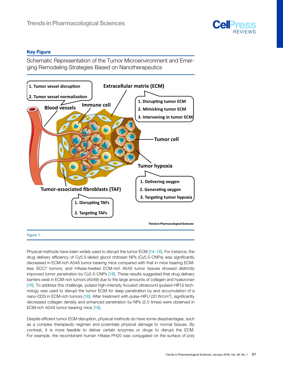 Chen-2018-Remodeling the Tumor Microenvironmen.pdf_第3页