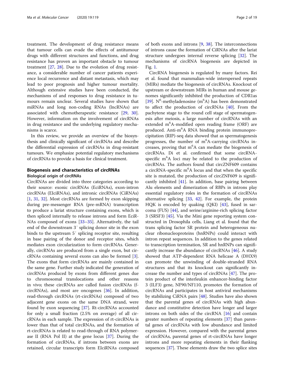CircRNAs biogenesis, functions, and role in dr.pdf_第2页