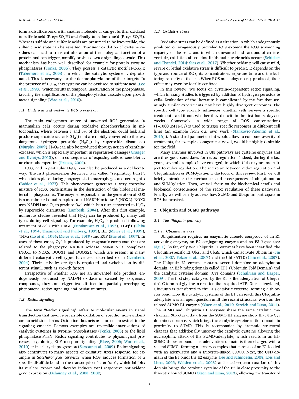 Control of SUMO and Ubiquitin by ROS-Signaling and disease implications.pdf_第2页