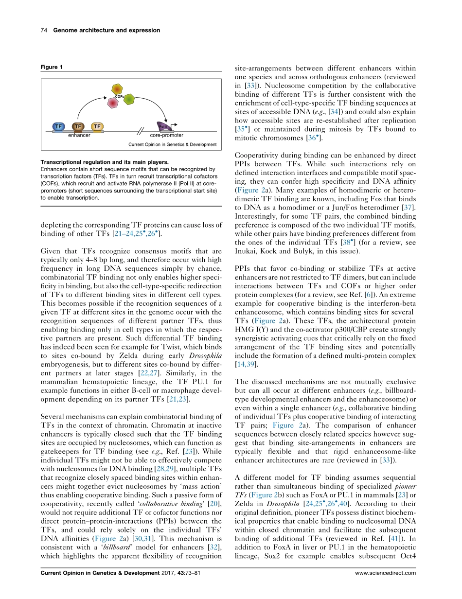 Combinatorial function of transcription factors and cofactors.pdf_第2页