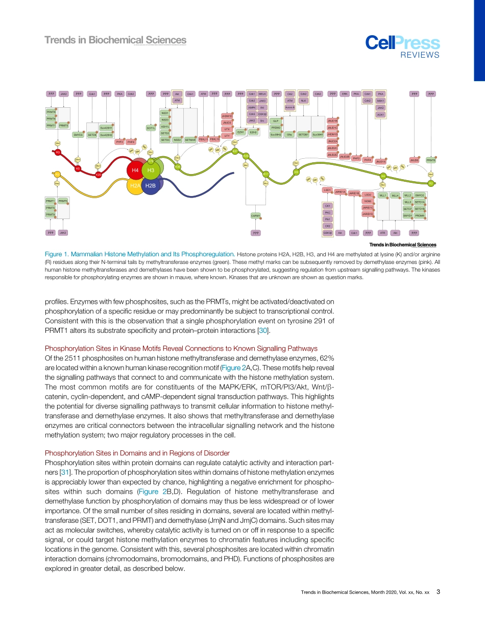 Controlling the Controllers Regulation of Hist.pdf_第3页