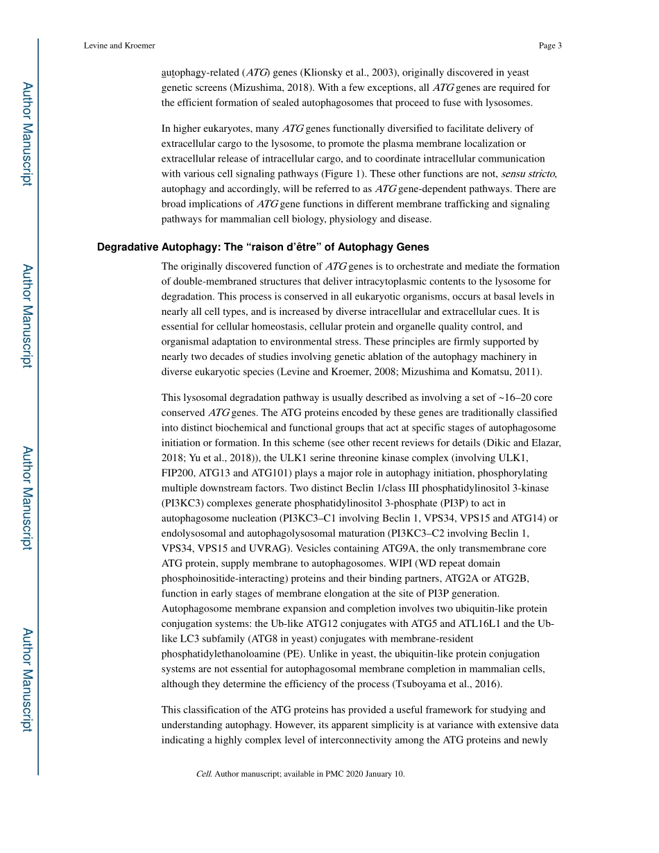Biological Functions of Autophagy Genes A Dise.pdf_第3页