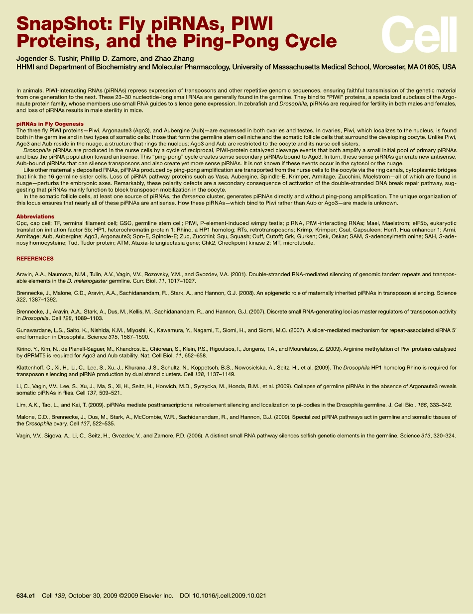 Fly piRNAs, PIWI Proteins, and the Ping-Pong Cycle.PDF_第2页