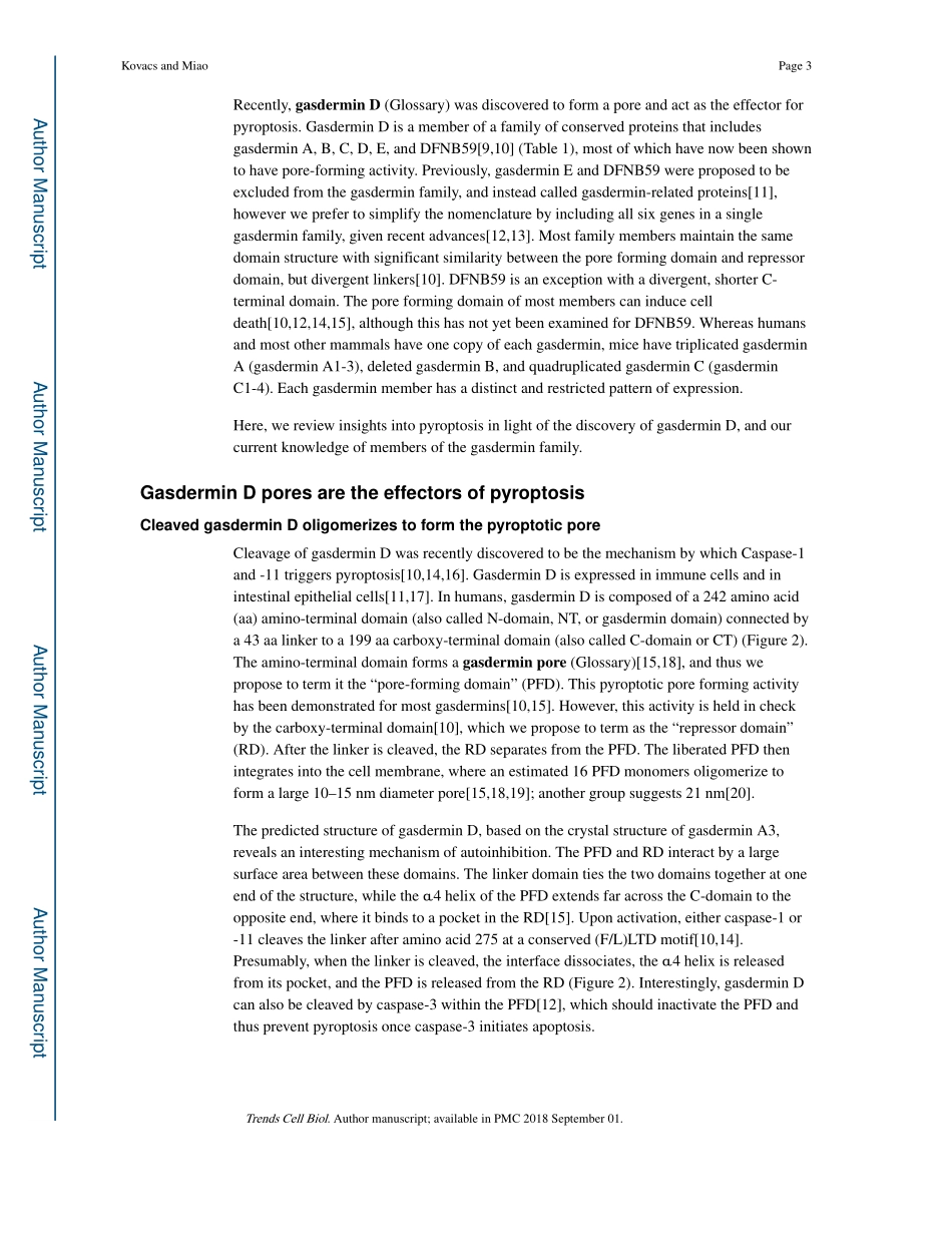 Gasdermins Effectors of pyroptosis.pdf_第3页