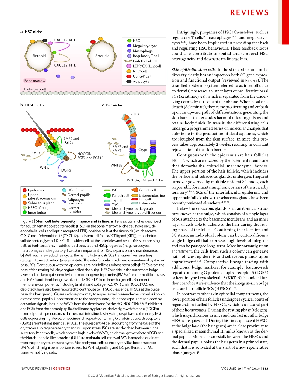 Ge-2018-Stretching the limits_ from homeostasi.pdf_第3页