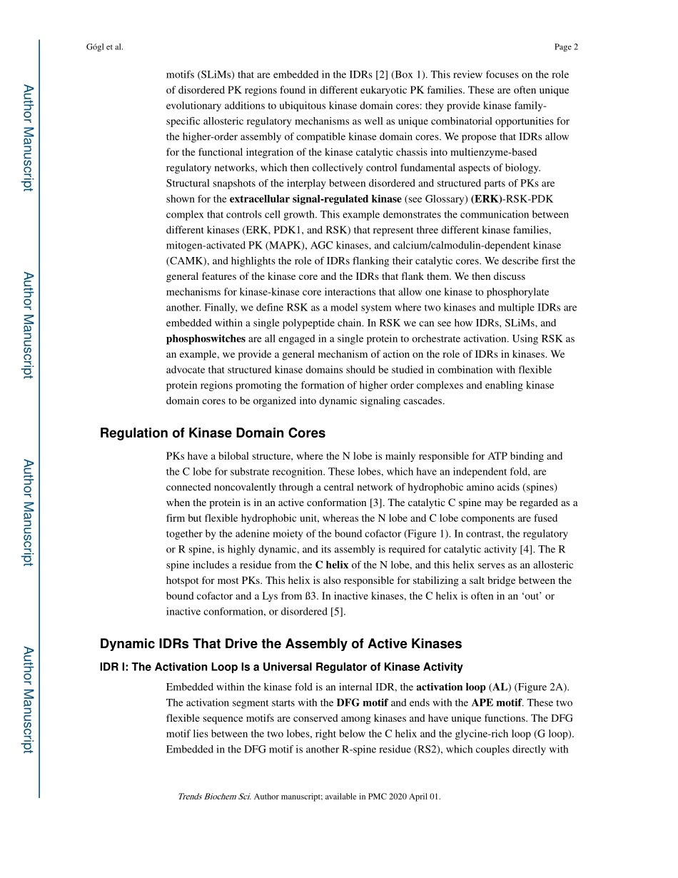 Disordered Protein Kinase Regions in Regulatio.pdf_第2页