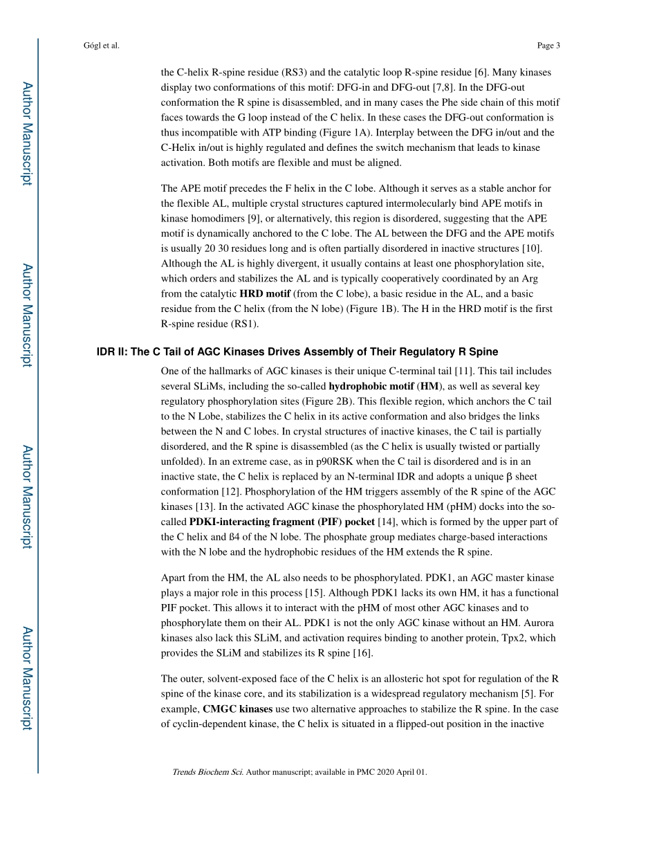 Disordered Protein Kinase Regions in Regulatio.pdf_第3页