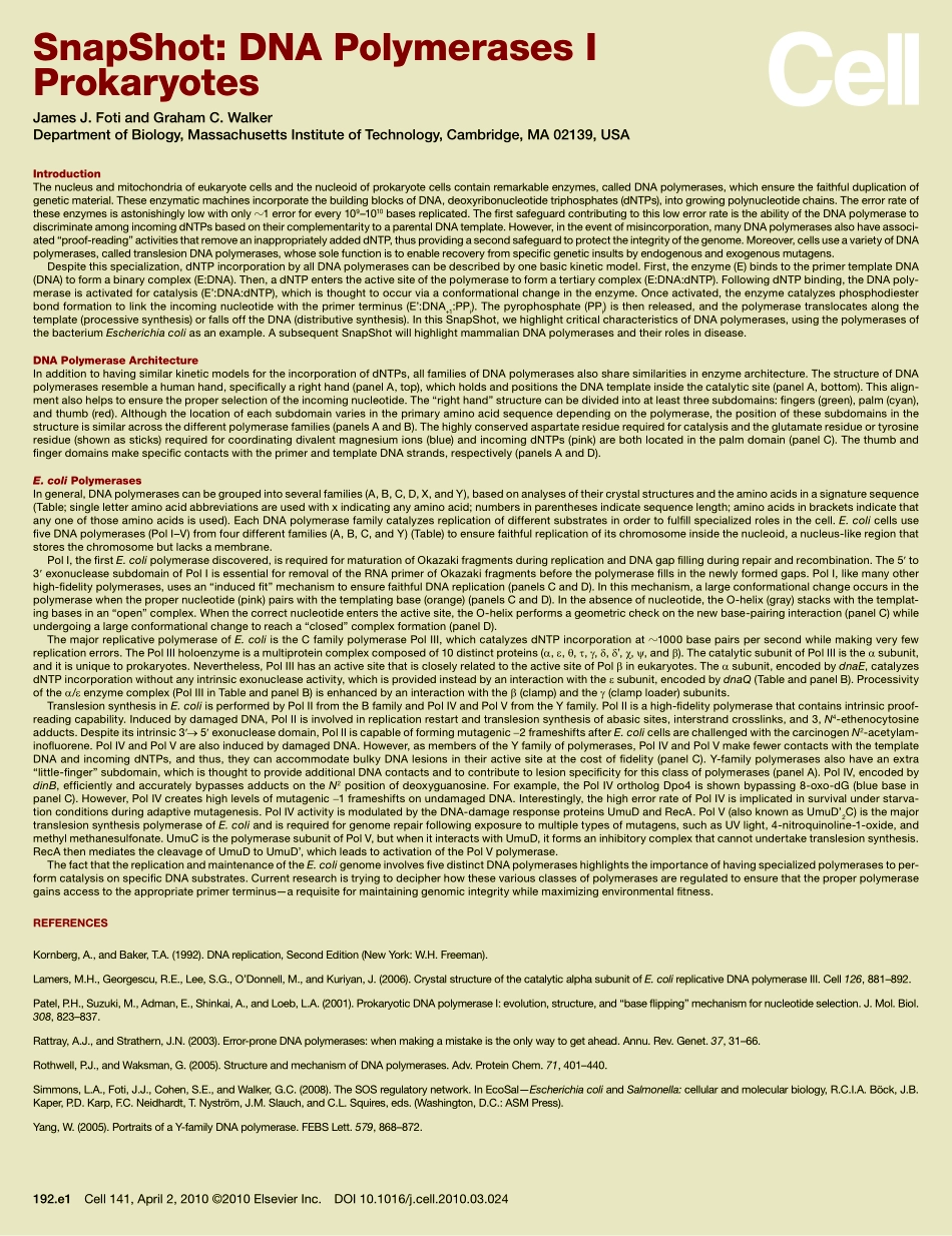 DNA Polymerases I Prokaryotes.PDF_第2页