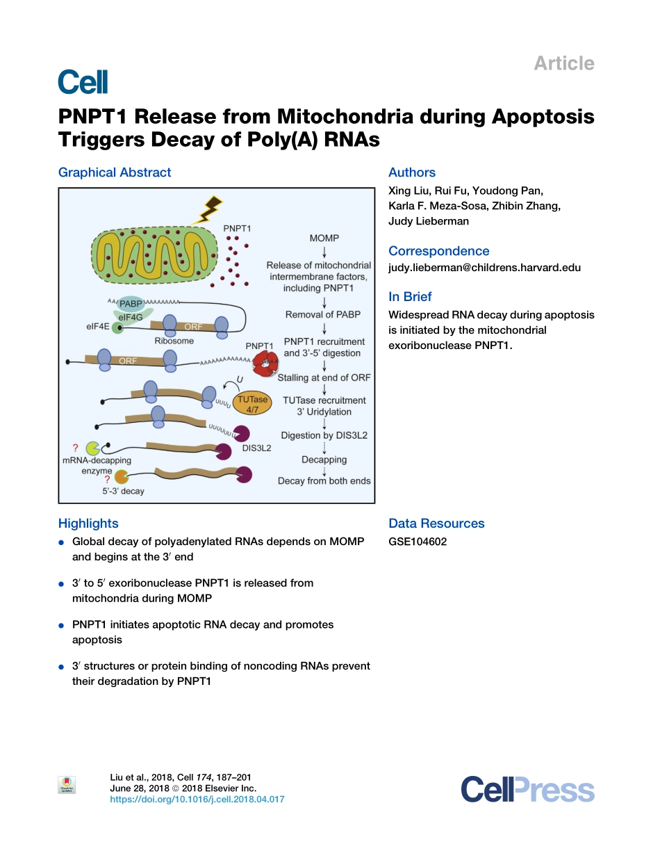 Cell 2018 在缺乏内在凋亡效应物BAXBAK和BOK的情况下胚胎发生.pdf_第1页