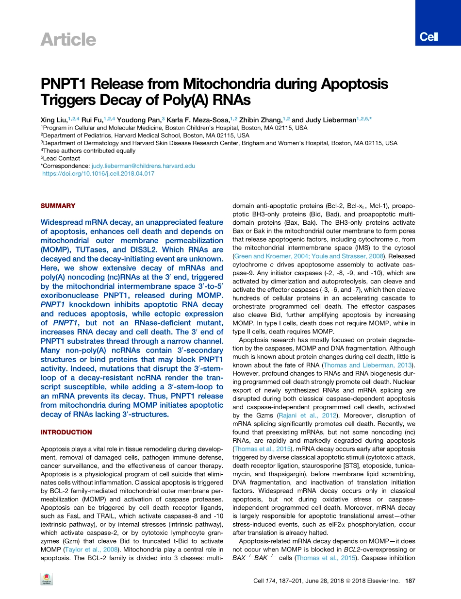 Cell 2018 在缺乏内在凋亡效应物BAXBAK和BOK的情况下胚胎发生.pdf_第2页