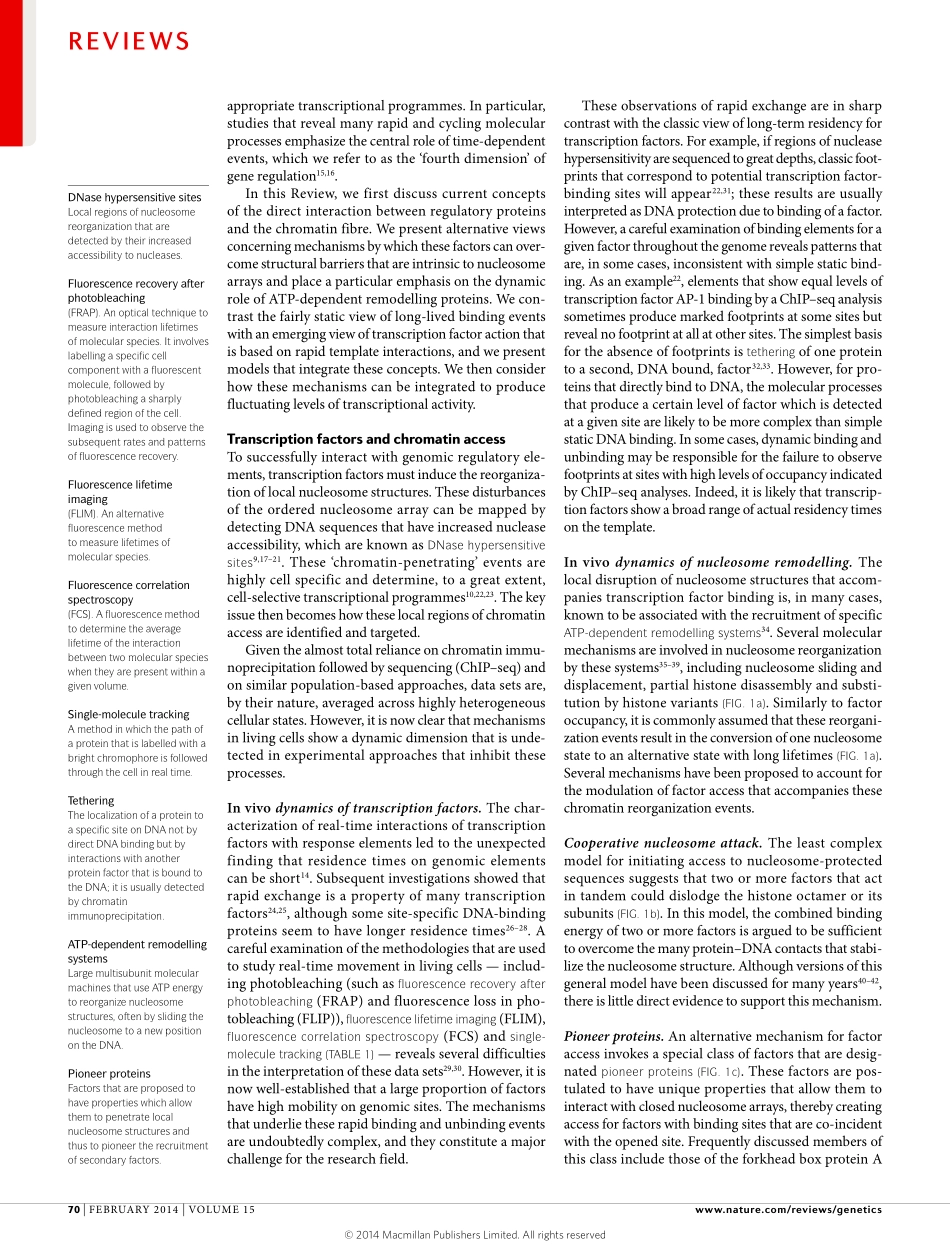 Dynamic regulation of transcriptional states by chromatin and transcription factors.pdf_第2页