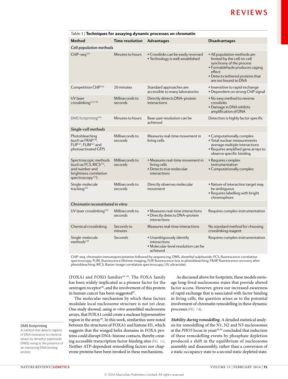 Dynamic regulation of transcriptional states by chromatin and transcription factors.pdf_第3页