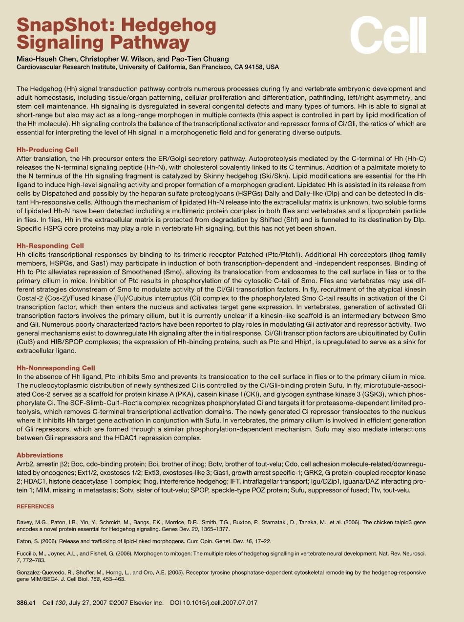Hedgehog Signaling Pathway.pdf_第2页