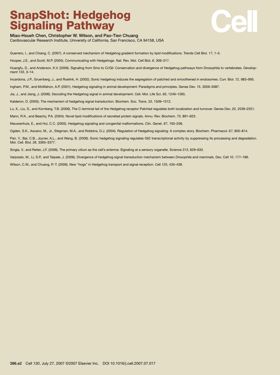 Hedgehog Signaling Pathway.pdf_第3页