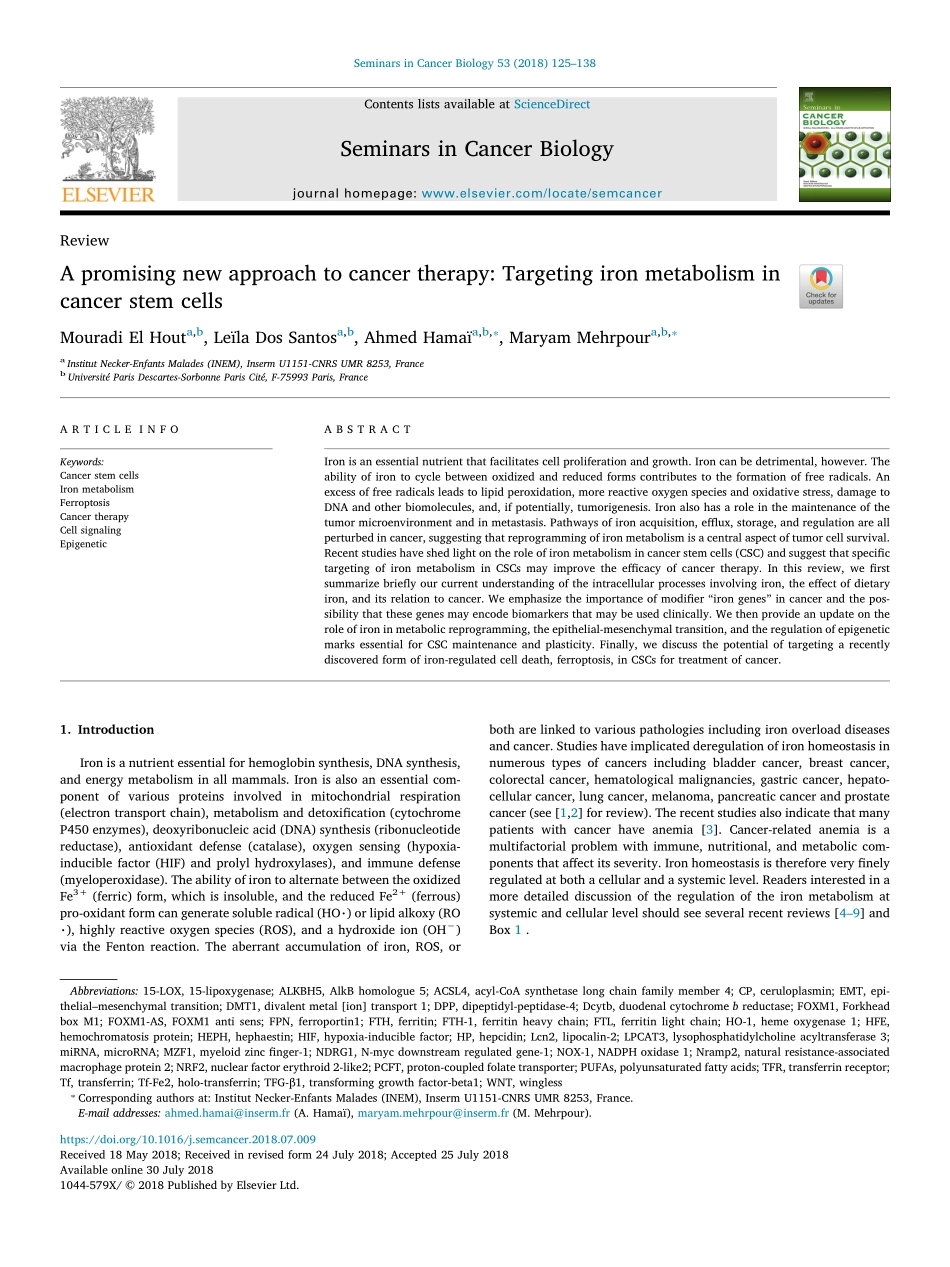 El Hout-2018-A promising new approach to cance.pdf_第1页
