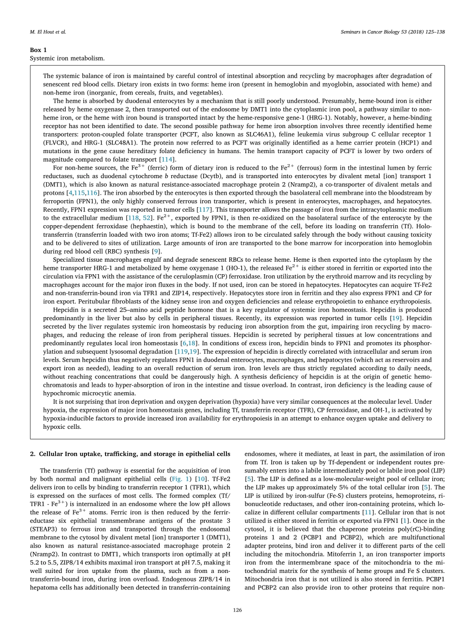 El Hout-2018-A promising new approach to cance.pdf_第2页