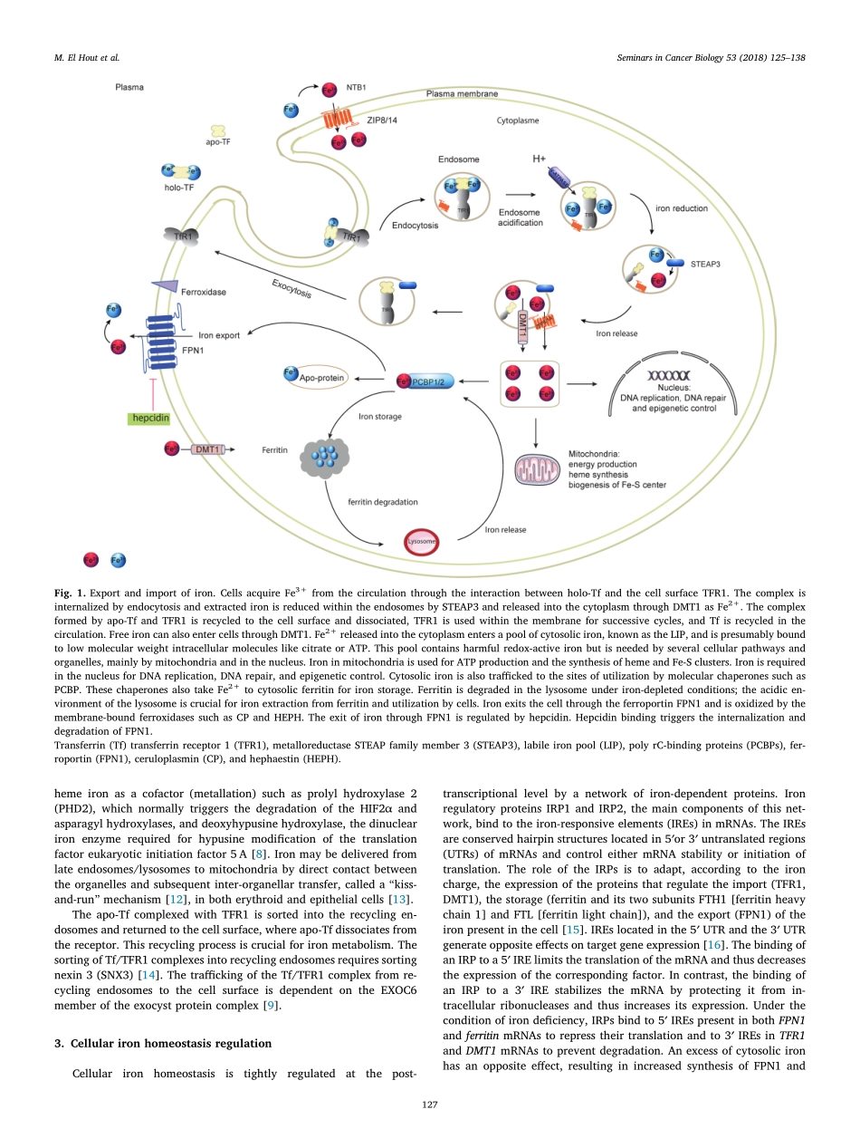 El Hout-2018-A promising new approach to cance.pdf_第3页