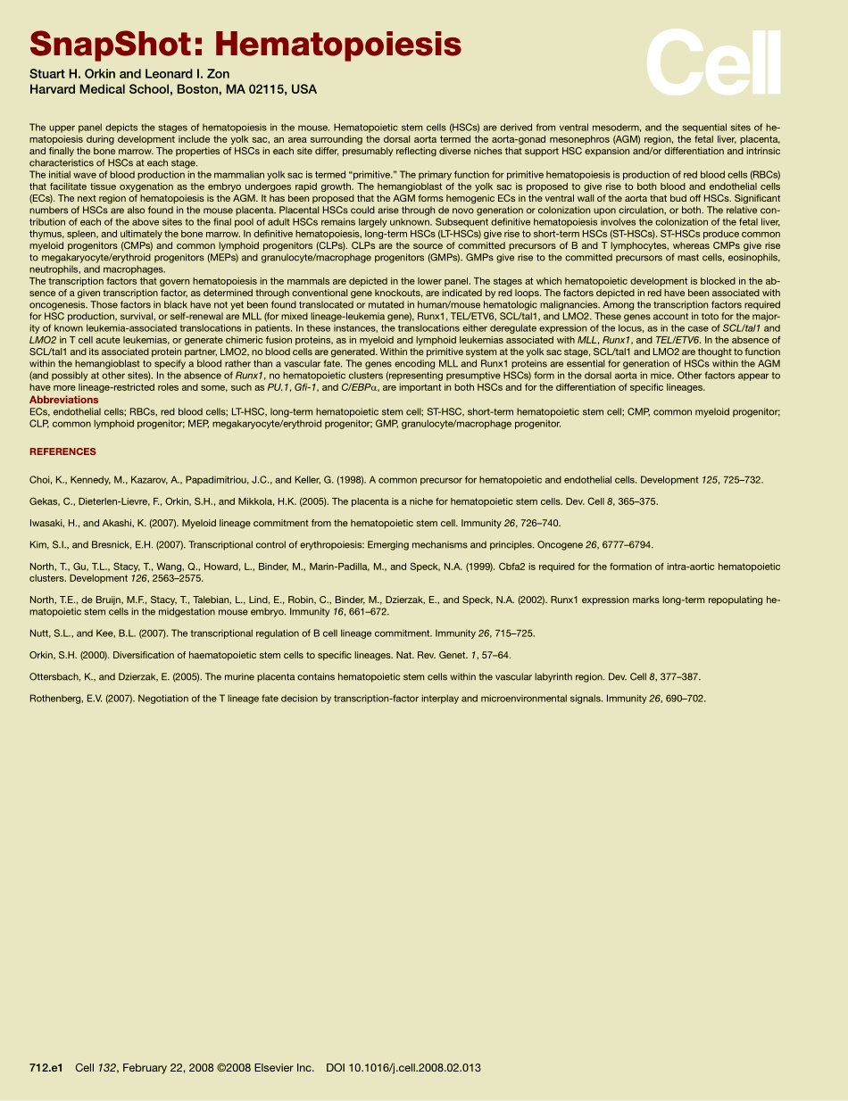 Hematopoiesis.PDF_第2页
