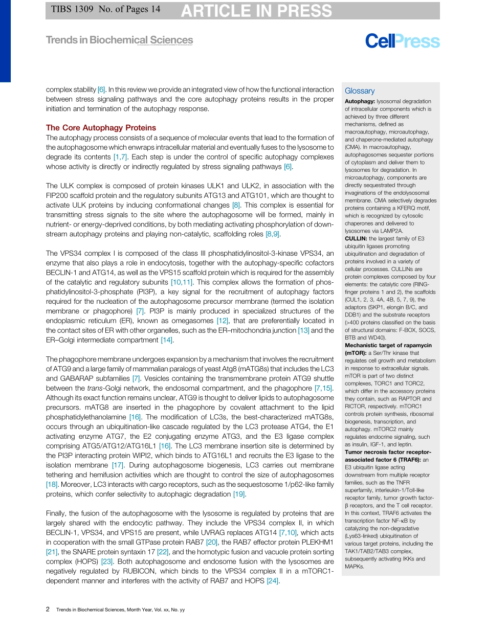 Emerging Mechanisms in Initiating and Terminating Autophagy.pdf_第2页